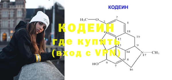 крисы Каменка