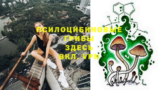 эйфоретик Пролетарск