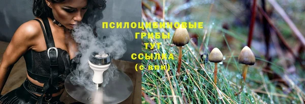стаф Протвино