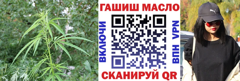 Дистиллят ТГК THC oil  Сурск 