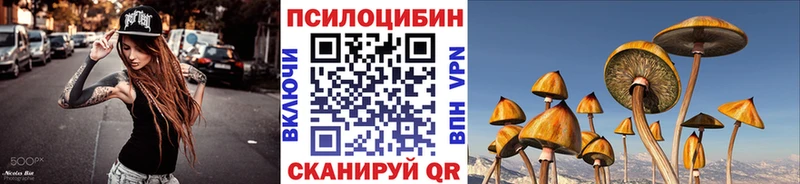 KRAKEN рабочий сайт  Сурск  Псилоцибиновые грибы GOLDEN TEACHER 
